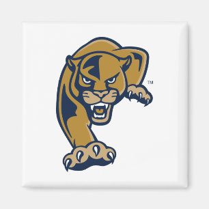 Imã Panthers da Universidade Internacional da Flórida