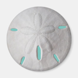 Imã Pão-de-areia, praia de verão, turquesa branca