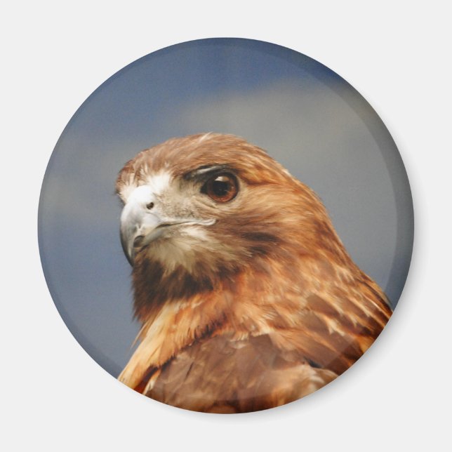 Imã Pão vermelho Hawk (Frente)