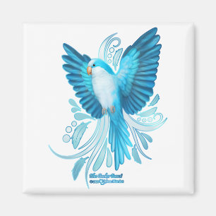 Imã Papagaio Azul Quaker