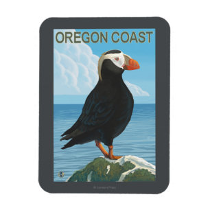 Ímã Papagaio-do-mar adornado costa de Oregon