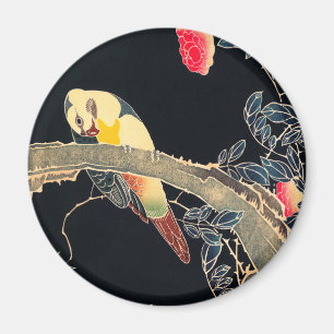 Imã Papagaio no Ramal de um Rosa Flor Bush