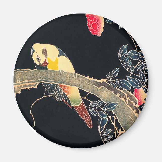 Imã Papagaio no Ramal de um Rosa Flor Bush (Frente)