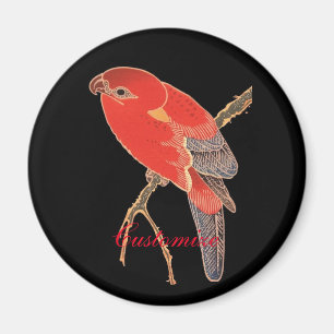 Imã Papagaio vermelho tropical Thunder_Cove
