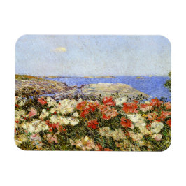 Ímã Papagaios selvagens nas ilhas dos calçados