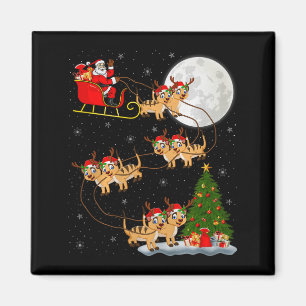Imã Papai Noel de Pé Sentado Voadorengano Natal Divert
