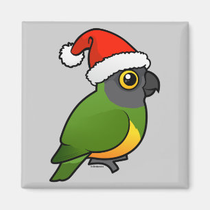 Imã Papai noel de Senegal