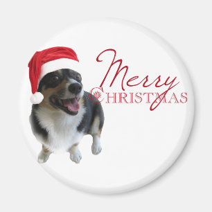 Imã Papai noel do Corgi do Feliz Natal