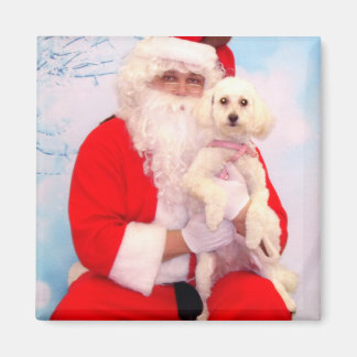 Imã Papais noeis adoram cães