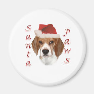 Imã Papais noeis Beagle