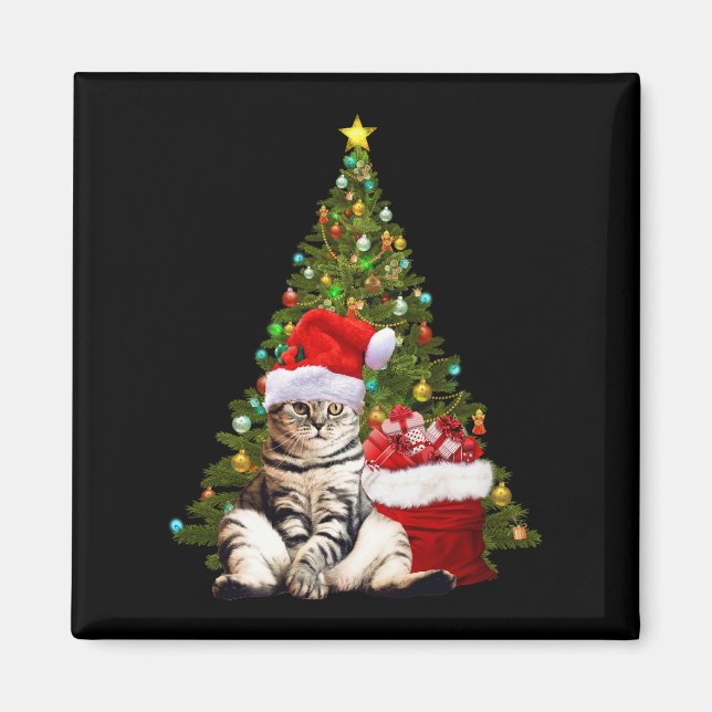 Imã Papais noeis Cat (Frente)