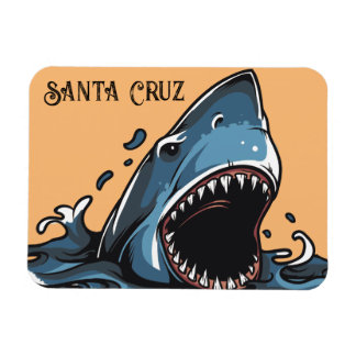 Ímã Papais noeis Cruz, Magneta da Califórnia
