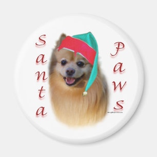 Imã Papais noeis da Pomerânia - Magnet