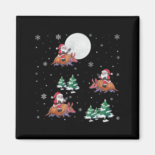 Imã Papais noeis De Árvore Xmas Andando Armadillo Engr