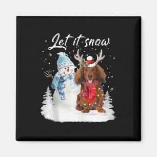 Imã Papais noeis de Dachshund de Cabelo Vermelho Cão N