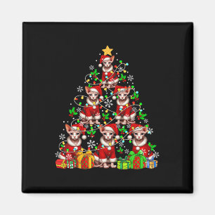 Imã Papais noeis De Grupo Sphynx Cats Como Árvore Xmas