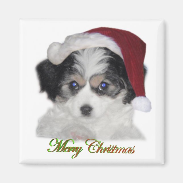 Imã Papais noeis de Jersey Magnet de Natal (Frente)