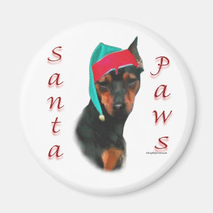 Imã Papais noeis de Pinscher Miniatura
