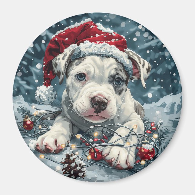 Imã Papais noeis de Touro de Natal (Frente)