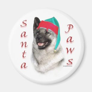 Imã Papais noeis Elkhound Paws