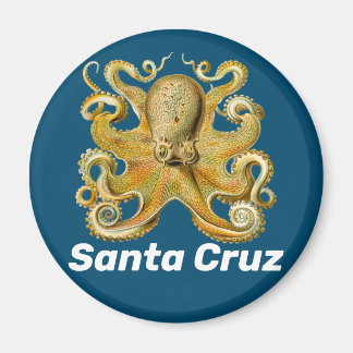 Imã Papais noeis Magneta do frigorífico Cruz