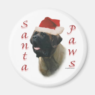 Imã Papais noeis Mastiff (damasco2)