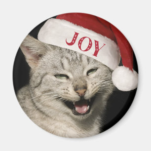 Imã Papais noeis Muito Engraçados Gato Ria Foto Natal