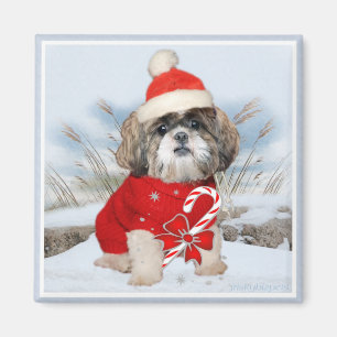 Imã Papais noeis Shih Tzu presentes de patas