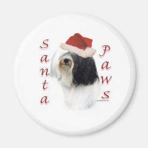 Imã Papais noeis tibetanos Terrier
