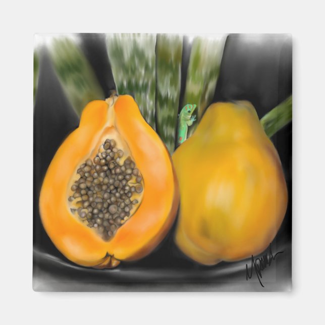 Imã Papaya Gecko (Frente)