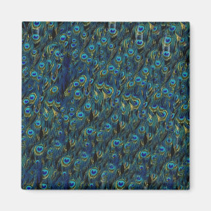 Imã Papel de parede bonito das penas de pássaro do