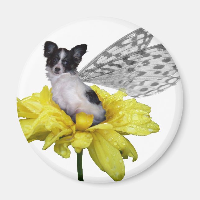 Imã Papillon Dog Fairy Magnet (Frente)
