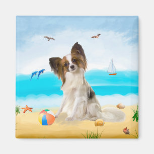 Imã Papillon Dog na Praia