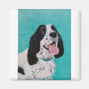 Imã Papoie o Springer