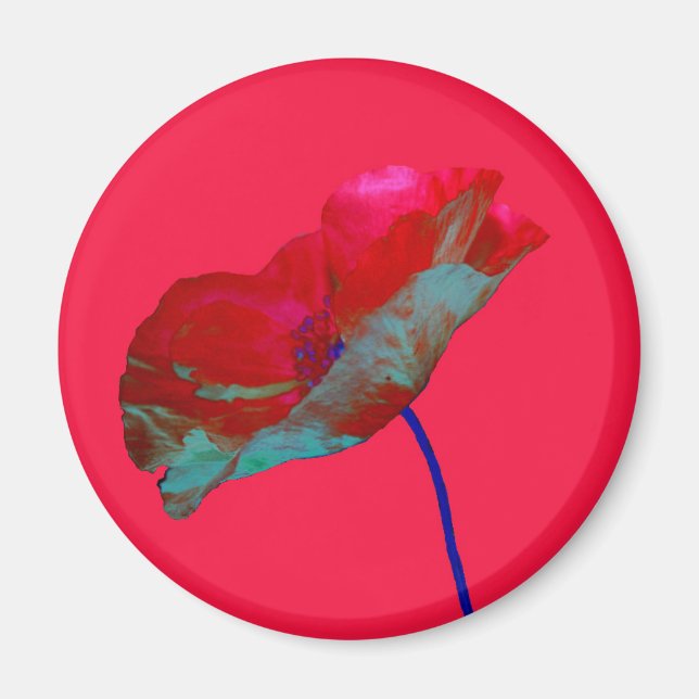 Imã Papoila azul-vermelha, rosa-claro (Frente)