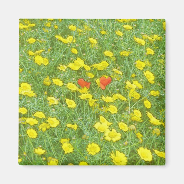 Imã Papoilas aquáticas (Frente)