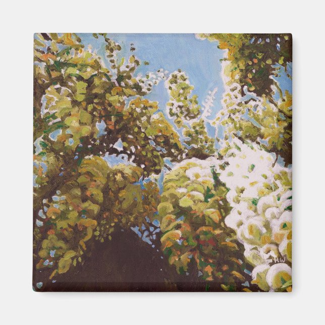 Imã Para a wisteria 2011 (Frente)