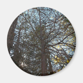 Imã Para cima através das filiais