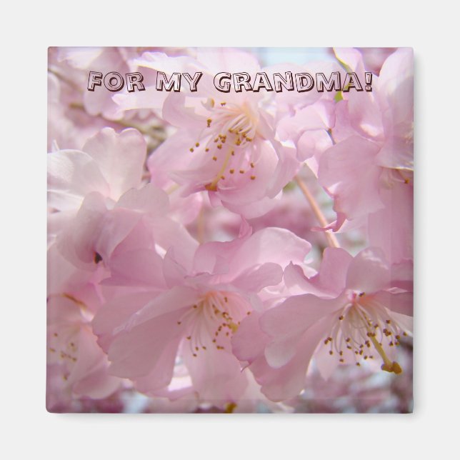 Imã Para minha avó! ímã Flores de árvore rosa em flor (Frente)