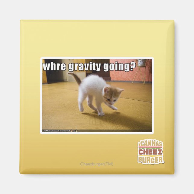 Imã Para onde vai a gravidade? (Frente)