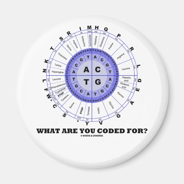 Imã Para Que Você Está Codificado? (Amino Acid Wheel) (Frente)