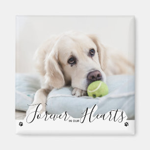 Imã Para sempre em nosso Memorial do Cachorro