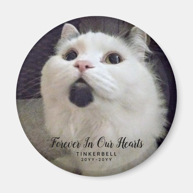 Imã Para Sempre, Personalizada Foto Memorial Do Gato (Frente)