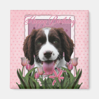Imã Parabéns - Inglês Springer Spaniel - Baxter
