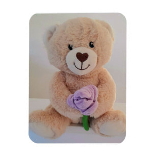 Ímã Parabéns pelo seu novo bebê Urso de pelúcia Fofo