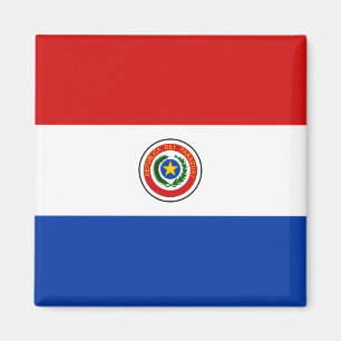 Imã Paraguai Flag Magnet