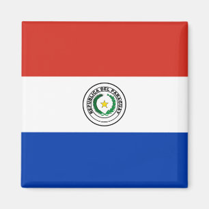 Imã Paraguay (Paraguayan) Flag