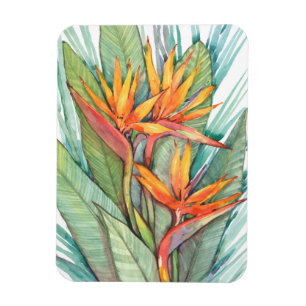 Ímã Paraíso Botânico Tropical II
