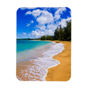 Ímã Paraíso de praia tropical, Havaí