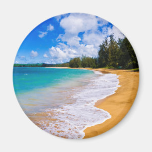 Imã Paraíso de praia tropical, Havaí